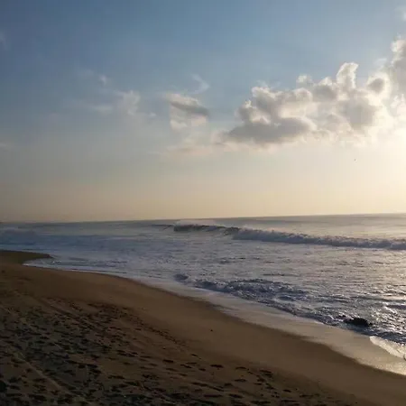 Golf & Garden House *