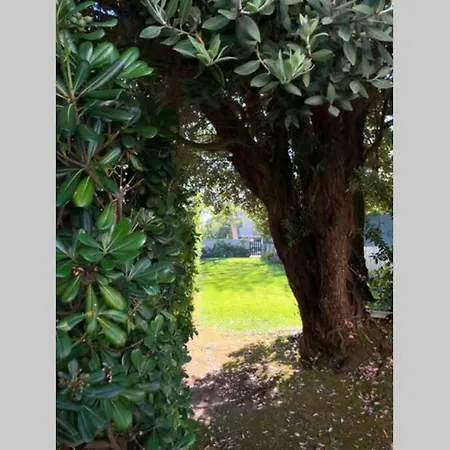 Golf & Garden House *