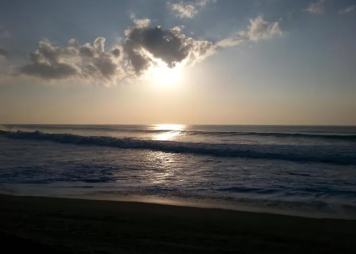 Golf & Garden House Hébergement de vacances Arcozelo (Porto)